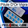 Vigra Gold Pill new15
